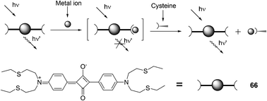 Chemical structure of 66 and pictorial demonstration of its sensing of thiol-containing amino acids.