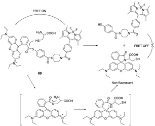 Ratiometric fluorescent thiol probe 69 based on the NCL reaction.