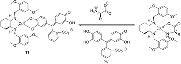 The proposed binding mode of host 11, indicator (PV) with amino acids.