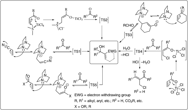 Various parameters that made the BH-reaction mechanism interesting.5,10,13