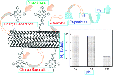 H2-evolution by the visible light irradiation of covalently bonded ZnP∼SWCNT in the presence of Pt-nanoparticles in aqueous solution; electron flows evaluated from fluorescence quenching, transient absorption and pH dependence on H2 evolution. Modified from ref. 51.