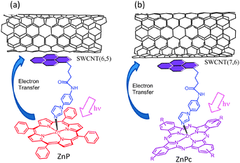 SWCNT/PyrIm→ZnP and SWCNT/PyrIm→ZnPc donor–acceptor hybrids via a metal–ligand axial coordination method. Modified from ref. 53 and 54.