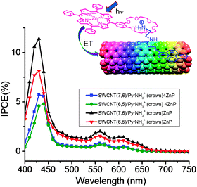 
          IPCE
          action spectra of SWCNT/PyrNH3+:(crown)ZnP/FTO/SnO2 and SWCNT/PyrNH3+:(crown)4ZnP/FTO/SnO2. Modified from ref. 60.