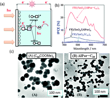 (a) Design of the photoelectrochemical solar cell (M: mediator (I−/I3−)). (b) The incident photon-to-current efficiency (IPCE) vs. wavelength of the illumination light of the FTO/SnO2 electrode coated with AlPor∼C60, AlPor and C60. (c) TEM images of (A) FTO/SnO2/RC60 and (B) FTO/SnO2/AlPor∼C60. Adapted from ref. 34.