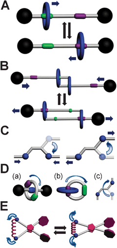 Popular switches categorized by the type of motion and mode of actuation. Symbols used: ε, efficiency; Δl, distance of actuation; Δϕ, angle of actuation, W (kT); work performed. (A) Shuttling—mode of actuation; chemical: rotaxanes—(i) Δl = 1 nm,39 (ii) Δl = 1.3 nm,40redox: rotaxanes—(i) metal-templated,41 (ii) H-bonded,42 (iii) donor–acceptor,26light: rotaxanes—(i)ε = 0.4, W = 3.65 kT,43 (ii) Δl = 1.3 nm, ε = 0.12,44 (iii) Δl = 0.7 nm.45 (B) Expansion/contraction—mode of actuation; chemical: molecular muscles—(i) Δl = 1.8 nm,56,57 (ii) Δl = 0.9 nm,58,59redox: rotaxanes—Δl = 1.4 nm,14,28light: molecular muscles—(i) Δl ≈ 0.7 nm.60,61 (C) Flapping—mode of actuation; redox: azobenzene,46light: azobenzene16,47–49—(i) ε = 0.1,50 (ii) Δl = 0.7 nm,51 (iii) ε = 0.1, Δl = 0.25 nm, W = 10.9 kT.52,53 Diaryethenes: ε ≈ 0.46, Δϕ = 7°.54Stilbene.55 (D) Rotation—mode of actuation; chemical: molecular rotors (c)—(i) Δϕ = 120°,62 (ii) Δϕ = 360°,63redox: [2]Rotaxane (a)—Δϕ = 180°.64[2]Catenane (b)—(i) Δϕ = 180°,65,66light: [3]Catenane (b)—Δϕ = 360°.67 Spiropyrans (c)—ε = 0.1, Δϕ = 180°.68 Fulgides—ε = 0.12, Δϕ ≈ 90°. Thioindigo—Δϕ ≈ 180°.69 Molecular rotors—(i) ε = 0.07–0.55,70 (ii) Δϕ = 360°.15,17 Nanocars.71 (E) Scissor like motion—mode of actuation; light: molecular scissors:72 (i) Δl = 0.7 nm, ε = 0.1, Δϕ = 49°.73,74