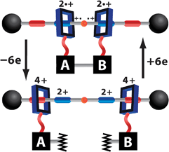 AMMs could drive multifarious chemical reactions uphill and away from equilibrium. For example, the cycloadduct in some electrocyclic reactions—e.g., [4 + 2] cycloadditions between dienes (A) and dienophiles (B) in certain Diels–Alder reactions—could be reverted back to staring materials (e.g., A and B) mechanically by coupling the cycloadduct with a redox switchable doubly bistable [3]rotaxane.