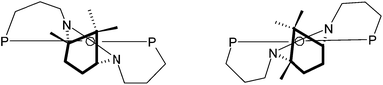 The two conformers for κ3-P,C,P′-1 at a square planar metal centre.