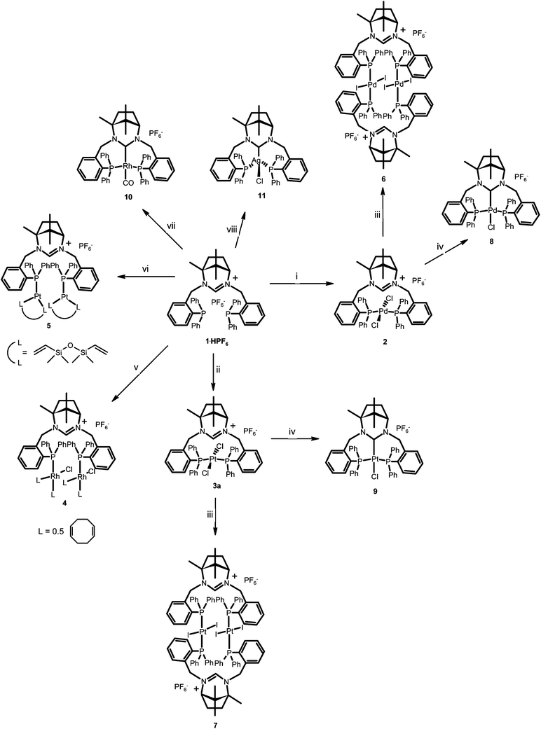 (i) K2[PdCl4], EtOH, Δ; (ii) K2[PdCl4], EtOH, Δ; (iii) xs MeI, Δ; (iv) KOtBu; (v) 0.5 [Rh(1,5-COD)Cl]2, MeOH, Δ; (vi) Pt2(dvdms)3; (vii) [Rh(acac)(CO)2], THF, Δ; (viii) KOtBu, Ag(OTf).