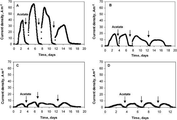 Current density obtained with microbial wire electrodes polarized at −0.2 V vs.SCE. Wire diameter: (A) 25 μm, (B) 50 μm, (C) 500 μm, (D) 1000 μm.