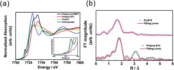 (a) XANES spectra of pristine CoTMPP, pristine B12, py-B12 and CoO powder; (b) Fourier transforms of k3-weighted EXAFS data at the Co K-edge for pristine B12 and py-B12.