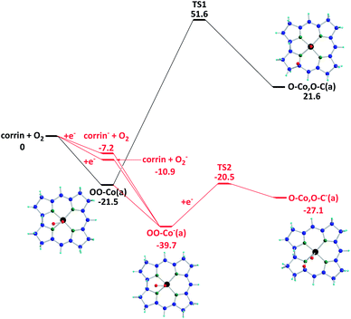 The potential energy profiles of oxygen decomposition reactions are shown with ZPE correction. The red, black, green, blue, and light blue atoms represent the oxygen, cobalt, nitrogen, carbon, and hydrogen atoms, respectively. (Unit: kcal mol−1).