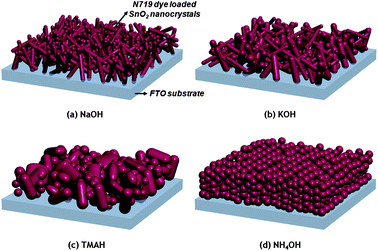 Schematic illustration of various types of SnO2 nanostructures based on different precursors on the FTO substrate.