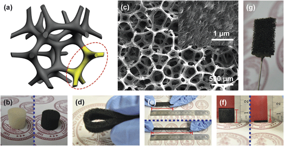 
          Carbon nanotube (CNT)–sponge electrode. (a) Schematic of CNT–sponge showing the macroporous structure and continuous three-dimensional (3D) CNT coating. (b) A sponge cylinder before application of a CNT coating (white) and after (black). (c) Scanning electron microscopy (SEM) image of the CNT–sponge. (d) A bent CNT–sponge strip. (e) A CNT–sponge strip before (∼6 cm long) and after (∼12 cm long) stretching. (f) A CNT–sponge cube before (∼1.2 cm thick) and after (∼0.2 cm thick) compression. (g) A CNT–sponge electrode applied in this study (1 cm × 1 cm × 0.2 cm).