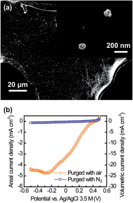 Use of a CNT–sponge as a conventional MFC cathode. (a) SEM image of a corner of the CNT–sponge after Pt decoration, with the inset showing clusters of Pt nanoparticles. (b) Current generation from oxygen reduction showing the strong catalytic activity of the CNT–sponge–Pt cathode.