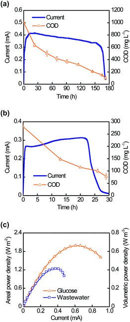 Performance of the H-shaped MFC (HMFC) in batch mode. Typical current generation cycles are shown with decreasing anolyte COD values when the HMFC was intermittently fed with glucose (a) or domestic wastewater (b). (c) Polarization curves of HMFCs show the maximum power densities achieved with glucose and domestic wastewater.