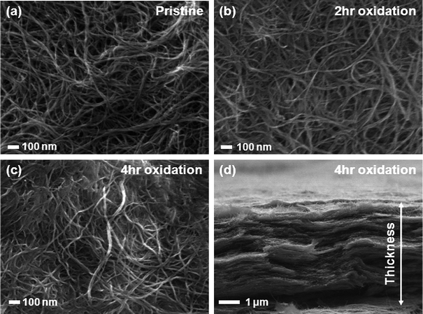 
          Scanning electron microscopy (SEM) top view images of electrodesviaVF of (a) pristine, (b) 2 h oxidized, and (c) 4 h oxidized FWNT solutions. (d) SEM cross-section view image of electrodesviaVF of 4 h oxidized FWNT solutions.