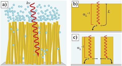 (Left) Idealized depiction of a nanowire film functioning as a photoelectrode involved in water splitting. (b, c) Comparison of photogenerated charge carrier collection at (b) planar and (c) high aspect ratio photoelectrodes. The gray bottom represents the back contact for majority carrier collection.