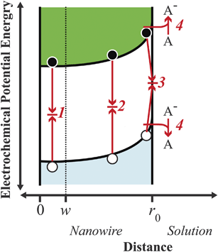 Energy band diagram illustrating the four principal processes relevant in a cylindrical nanowire photoelectrode under low-level injection: charge carrier recombination (1) in the bulk, (2) in the depletion region, (3) at surface traps, and (4) through heterogeneous charge transfer. The point w is defined as the edge of the depletion region, i.e. the innermost position over which an appreciable internal electric field is dropped. Filled black circles and empty white circles denote photoexcited electrons and holes, respectively.