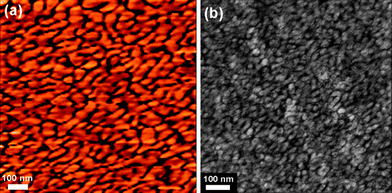 (a) AFM tapping phase image of surface, and (b) TEM image of cross-section for 3(X70) with IEC of 1.28 meq./g.