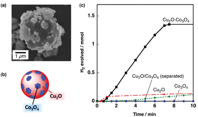 (a) SEM image of Cu2O(50-facets) decorated with Co3O4 nanoplates [Cu2O/Co3O4 = 1/1 (w/w)]. (b) Schematic drawing of decorated particles. (c) Time course of hydrogen evolution from AB hydrolysis with Cu2O decorated with Co3O4 nanoplates [black, 1 : 1(w/w)], Cu2O and Co3O4 nanoplates separately reacted in an H-type cell [green, 1 : 1(w/w)], Co3O4 nanoplates pretreated by H2 gas (blue) and Cu2O with d-(+)-glucose (red) [NH3BH3, 0.5 mmol; catalyst, 12 mg; water, 20 mL].