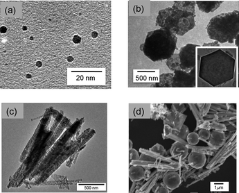 
            TEM images of Co3O4 nanoparticles with the shape of (a) sphere, (b) nanoplate and (c) rod. (d) SEM image of Cu2O(50-facets)–Co3O4(rod).