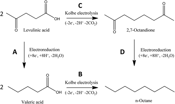 Schematic illustration of the two electrochemical routes for the conversion of levulinic acid to n-octane.