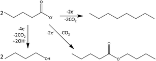 Competitive oxidative reactions of valeric acid, leading to the formation of n-octane, butylvalerate and butanol.