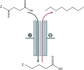 Schematic setup of a potential integrated electrochemical cell for the continuous consecutive conversion of levulinic acid into n-octane.