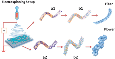 Schematics showing the evolution of flower morphology in electrospun inorganic nanostructures when there is a difference in precursor concentration. (a1) Polymeric fibers with lower precursor concentration. (b1) Growth of SnO2 grains contained within the fiber boundary resulting in fiber morphology. (a2) Polymeric fibers with higher precursor concentration. (b2) Highly populated growth of SnO2 grains outstrips the fiber boundary and loses one dimensionality giving rise to flower morphology.