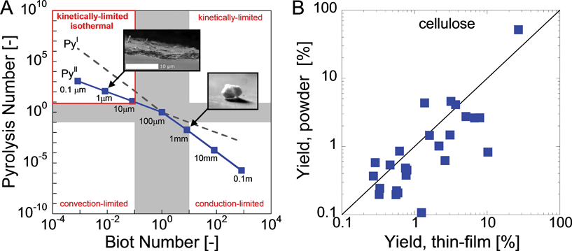 
            Thin-film 
            pyrolysis
             design. Reaction map for cellulose fast pyrolysis (A) and comparison of powder and thin-film pyrolysis (B). Pyrolysis and Biot Numbers (eqn (1)–(3)) are used to compare heat transfer and reaction time scales; four pyrolysis regimes are identified (clockwise from top left): isothermal and kinetically-limited, kinetically-limited, conduction-limited and convection-limited. The top inset shows a SEM image of a cellulose thin-film while the bottom is a photograph of a reacting cellulose particle.2