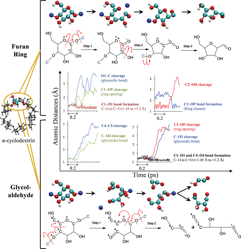 
            Reaction pathways of 
            α-cyclodextrin
             (cellulose) 
            pyrolysis
            . Chemical pathway for the formation of 5-membered furan ring (top) and glycolaldehyde (bottom), obtained using ab initio molecular dynamics (MD) simulations of α-cyclodextrin, a surrogate for cellulose. Cyan balls indicate C, red indicates O and white indicates H. Carbon atoms of the neighboring glucose unit are shown in blue. Time evolution of atomic distances along ab initio MD trajectories that result in the formation of furan ring and glycolaldehyde are depicted. In the interest of clarity, only the portion of the trajectory in which the event happens is shown. The red arrows in the molecular structures indicate the electron flow, e.g., the glycosidic linkage cleavage is homolytic.