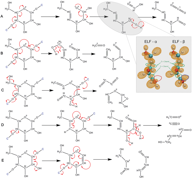 
            Cellulose
            
            pyrolysis
             pathways to volatile oxygenates. Glycosidic, homolytic cleavage produces formic acid and eventually CO2 and 2,5-dihydroxy-3-pentenal (A) through a radical intermediate identified by ELF analysis (inset). Glycosidic cleavage leads to formaldehyde and 2,3-hydroxy-4-pentenal (B). Glycosidic cleavage leads to glyoxal and 3-(vinyloxy)-2-oxiranol (C). Glycosidic cleavage leads to formaldehyde, carbon monoxide and 4-hyroxy-2-butenal (D). Glycosidic cleavage leads to the formation of malondialdehyde and a radical intermediate (E). Arrows shown assume homolytic chemistry as indicated by ELF analysis of the furan formation mechanism (see Fig. 6 and supplementary information for details).