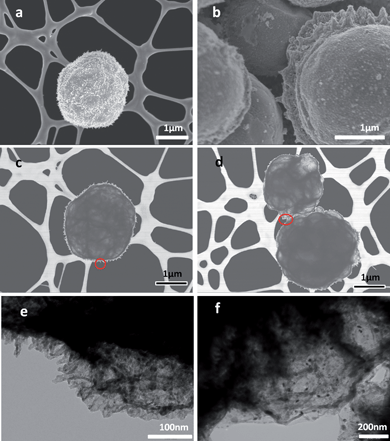 
          SEM images of (a) Co3O4 and (b) NiO after spraying. TEM images of (c) rGO–Co3O4 and (d) rGO–NiO composites with highlighted areas expanded in figures (e) and (f).