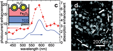 Device geometry (inset, left), photoresponse (left) and SEM image (right) of gold-silica core-shell nanoparticles on a flat hematite electrode. Reproduced with permission from the American Chemical Society.61