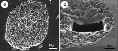 (A) Ablation crater in monazite (E0 = 0.8 mJ per pulse, τ = 60 fs and N = 5 shots) and the location of the corresponding FIB foil sampled within (black dashed line). (B) 45° tilt of the view, highlighting the foil. The size is 15 μm wide and 8 μm deep. Thickness is ∼100 nm in the centre area and enlarges to borders (darker contrast).