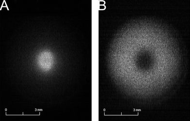 GDOES elemental mapping of Cu pin in the Ni substrate sample with a 8 mm × 8 mm grating mask. (A) Monochromatic image of the GD at 324.7 nm. (B) Monochromatic image of the GD at 341.5 nm.