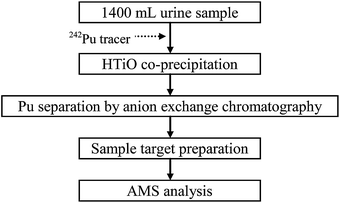 Flow diagram of the Pu urinalysis procedure.