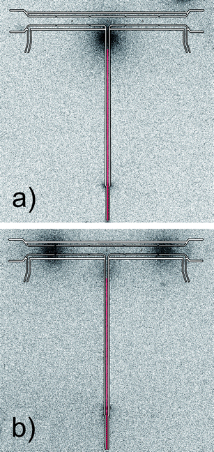 Autoradiograms of the multiatomizer after 3 replicates with 111Ag: (a) after the trapping stage and (b) after the whole collection procedure; exposure time 120 min, Tat = 900 °C, capillary position 2.5 cm from the optical axis ∼500 °C; trapping conditions: 20 ml min−1 of O2 through the capillary; revolatilization conditions: 100 ml min−1 of H2 through the capillary.