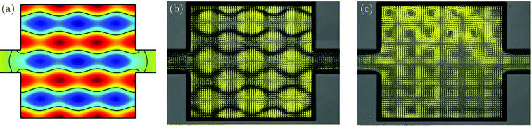 Acoustic streaming and radiation forces at the 2.17 MHz-acoustic resonance in a square silicon/glass chamber of area 2 mm × 2 mm and depth 0.2 mm. (a) Color plot of the pressure field p1 (red: positive, green: zero, blue: negative) calculated by numerical simulation in the 2D chamber model of the 2.17 MHz pressure eigenmode. Nodal lines are shown in black. (b) Top-view gray-scale photograph of 5-μm-diameter polystyrene beads undergoing acoustophoretic motion in the water-filled chamber due to the acoustic radiation force. The particle velocity (overlaid yellow arrows) 1 ms after the onset of the 2.17 MHz ultrasound wave were measured by micro-PIV. After 1 s the particles have accumulated at the pressure nodal lines (black wavy lines). (c) Experiments on 1-μm-diameter polystyrene beads, under the same conditions as in the previous panel. In this case the acoustic radiation force is much weaker than the Stokes drag from the acoustic streaming motion of the water, so in the resulting 6 × 6 flow-roll pattern no particle accumulation at the pressure nodal lines is observed. Adapted from ref. 17.