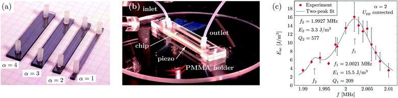 Experimental determination of the Q factor of an acoustic mode. (a) The silicon/glass chips containing straight channels of length  = 40 mm, width w = 377 μm, and height h = 157 μm. The channels are etched down into the silicon chip of thickness 350 μm, and they are covered by a pyrex glass lid of thickness 1.13 mm. The chips are 50 mm long and have widths of 2.5 mm (α = 1), 4.7 mm (α = 2), 6.8 mm (α = 3), and 9.0 mm (α = 4). (b) A photograph of the experimental setup showing how a chip is coupled mechanically to the piezo actuator, the PMMA holder, and the inlet/outlet tubes. (c) Plot of the measured acoustic energy density Eacversus frequency f (red dots) for the α = 2 chip. The two observed acoustic resonance peaks are fitted well by the sum of two Lorentzian line shapes (eqn (24), blue line). The resonance frequencies are f1 = 2.0021 MHz and f1 = 1.9927 MHz, while the Q-factors are Q1 = 209 and Q2 = 577. Adapted from ref. 23.