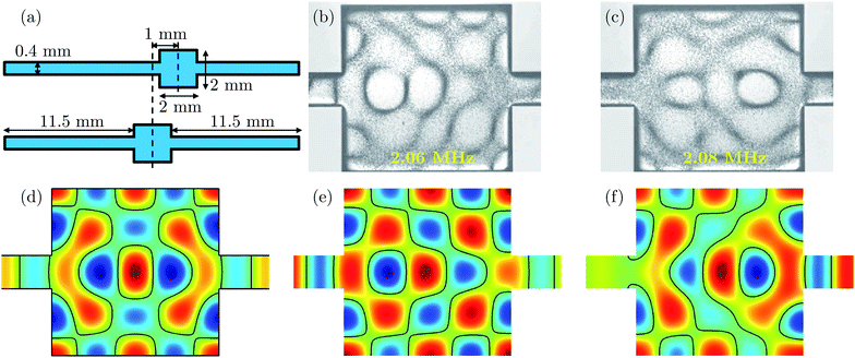 (a) Sketches of a 2 mm square microfluidic chamber placed symmetrically and asymmetrically (shifted 1 mm to the right) relative to 0.4 mm wide and 11.5 mm long inlet/outlet channels (not drawn to scale). (b) Photograph of the position of 5-μm-diameter tracer beads (black bands) in a silicon/pyrex chip having the asymmetric geometry of panel (a) after 1 s of motion in the 2.06 MHz ultrasound resonance mode. (c) The same as the previous panel, but for the 2.08 MHz resonance mode. (d) Color plot of the pressure field p1 (blue: negative, green: zero, red: positive) of the resonance near the 2.1 MHz in the symmetric geometry with hard-wall boundary conditions found by numerical simulation using COMSOL. Notice the left-right symmetry of p1. (e) Same as the previous panel, except for the asymmetric device. Notice the slightly larger amplitude of p1 left of the symmetry line as in panel (b). (f) Same has the previous panel, but for the resonance mode with a frequency 0.028 MHz higher. Notice the slightly larger amplitude of p1 right of the symmetry line as in panel (c). Adapted from ref. 17.