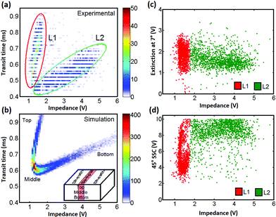 (left) Density plot of transit time vs. impedance magnitude for 25 μm diameter beads. (a) Experimental results, (b) Simulated data. Two populations of particles are observed in the experimental results, one in the top half of the channel (L1) and a second in the bottom half of the channel (L2). Right panel: (c) Extinction, and (d) SSC vs. impedance for the same data as in (a) Each event is colour coded according to its position within one of the two lobes in (a); red top, green bottom of the channel. The extinction data does not depend on position within the channel. The SSC data demonstrates clear top/bottom differentiation.