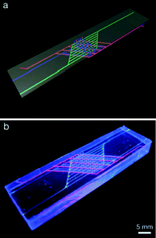 Schematic (a) and photograph (b) of a self-healing structure with three interpenetrating sets of channels. Blue designates the epoxy resin, red the curing agent, and green the heating channels, which carry warm water and heat the device locally. Scale: 5 mm. Reprinted with permission from Advanced Functional Materials from Hansen et al.2