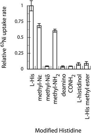 Modifications of l-His affect Ni-uptake rate. Modified l-His molecules were present at 1 mM and 63Ni was added to 10 nM.