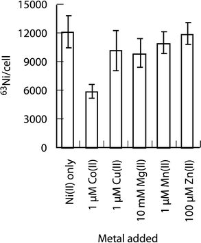 The effect of divalent metals on l-His dependent 63Ni accumulation. Cells were added to tubes containing 10 nM 63NiCl2 + 400 μM l-His plus a competitor metal added at the different concentrations indicated.