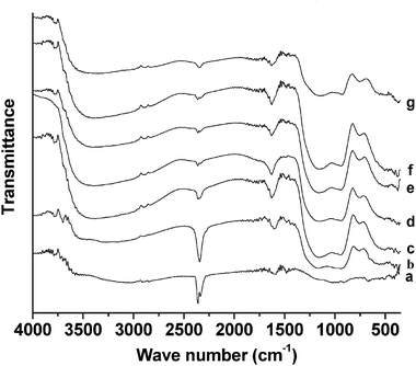 
            FT-IR spectra of mesoporous chromium phosphate prepared from initial batches with various P/Cr atomic ratios after the surfactant removal. The P/Cr atomic ratio is equal to (a) 1.0, (b) 1.8, (c) 2.0, (d) 2.0, (e) 2.2, (f) 2.4, and (g) 3.0.