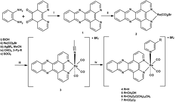 Synthesis of complexes 3–7.