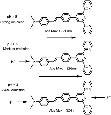 Successive protonation of MNpvpt.