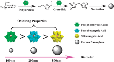 The possible mechanism for the formation of CNSs prepared with the addition of POMs.