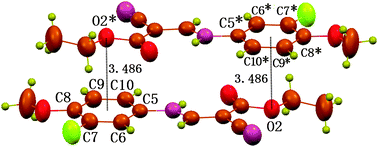 Part of packing diagram of compound 1, showing the double O⋯π interactions between O2 and C5–C10 ring with a O2⋯Cg distance of 3.486 Å (Cg is the centroid of the C5–C10 ring). Atoms marked with an asterisk (*) are at the symmetry position: 1 − x, 1 − y, −z.